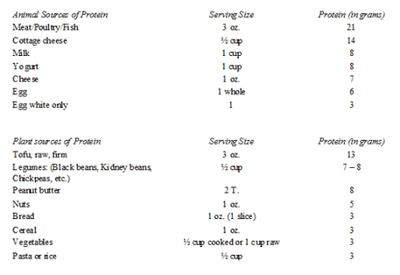 protein chart